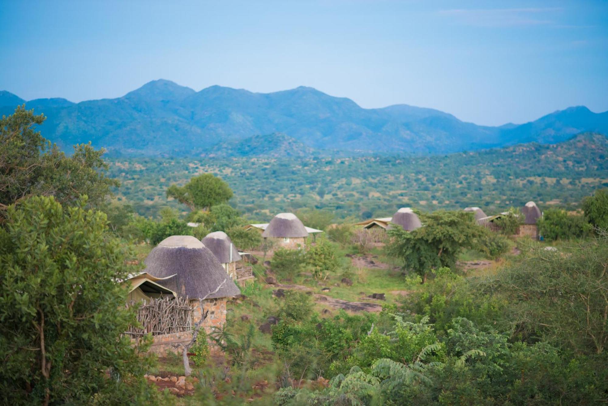Kidepo Savannah Lodge By Nature Lodges Ltd Loitanit Eksteriør bilde