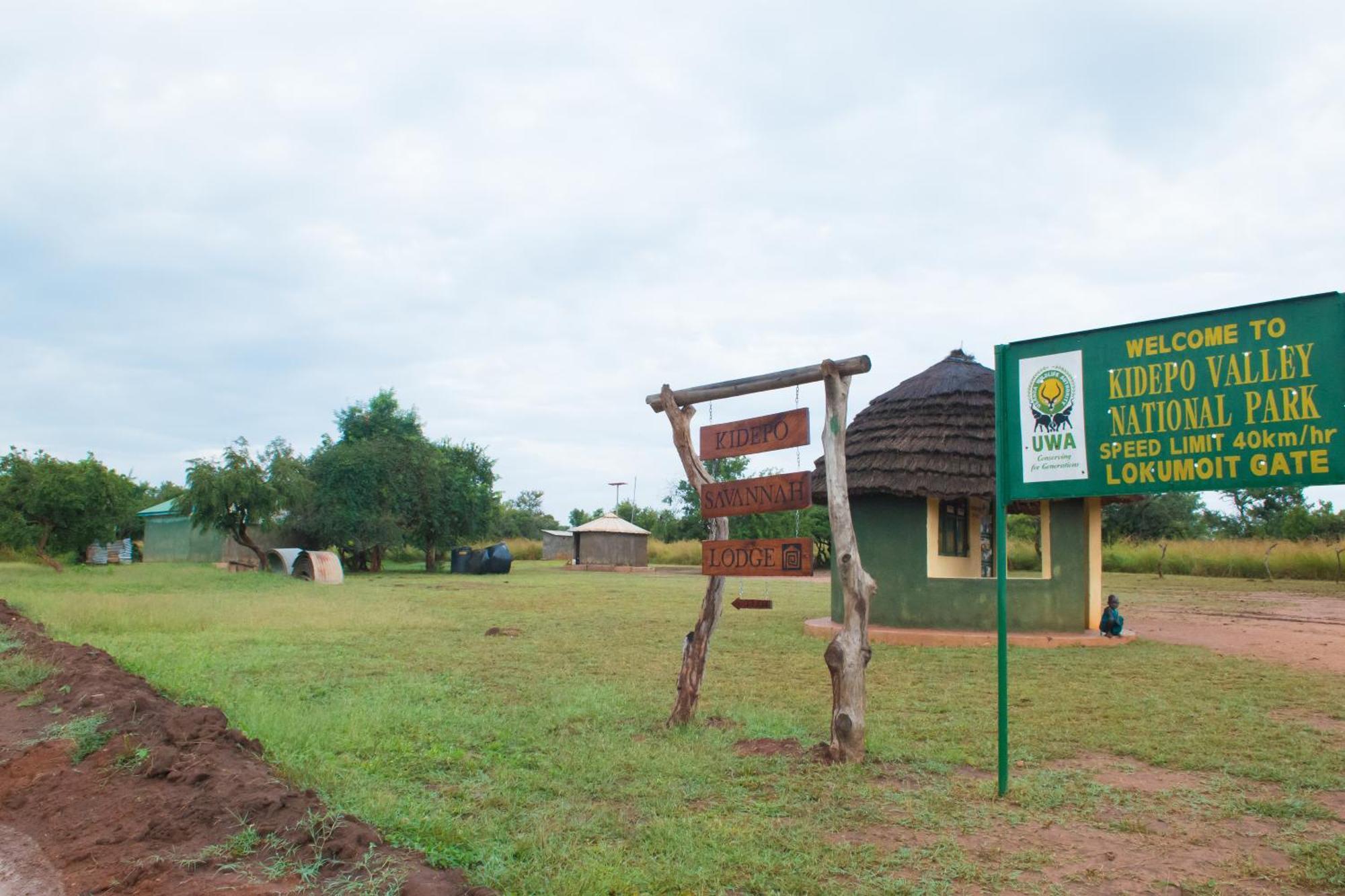 Kidepo Savannah Lodge By Nature Lodges Ltd Loitanit Eksteriør bilde